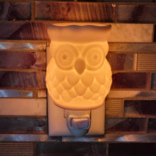 Load image into Gallery viewer, Ceramic Wall Warmer - White Owl
